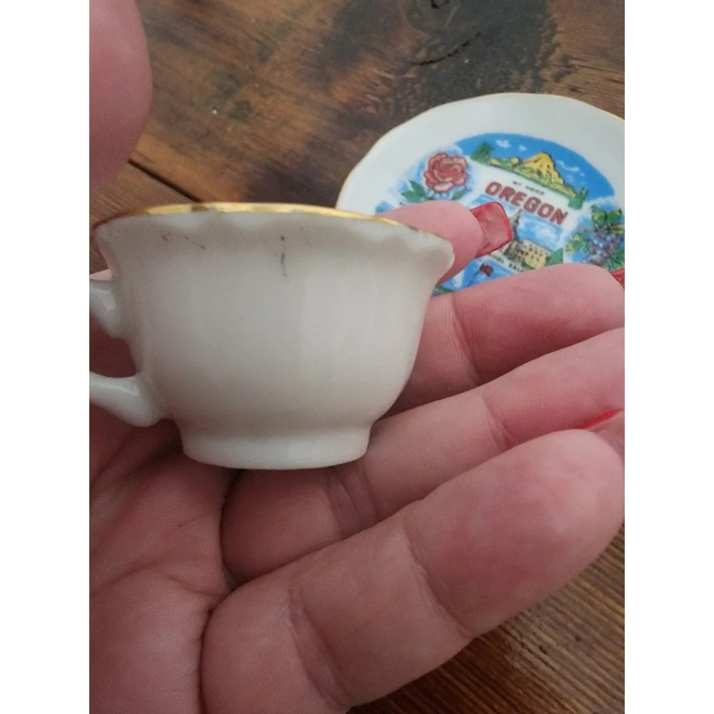 Vintage‎ Oregon Souvenirs mini plate and cup
